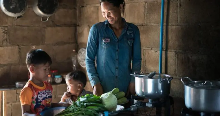 Gold Standard Biodigesters and Clean Cookstoves Project Cambodia