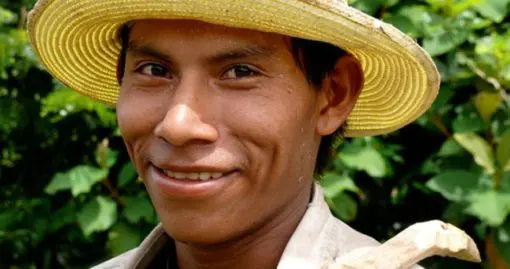 Gold Standard Forestry Project Panama - Image 3