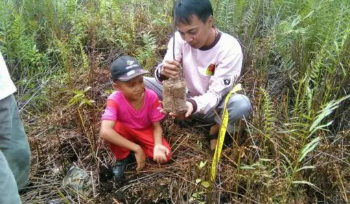 Rimba Raya REDD+ Biodiversity Reserve Project Indonesia - Image 2